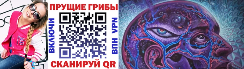 Псилоцибиновые грибы мухоморы  Белово 